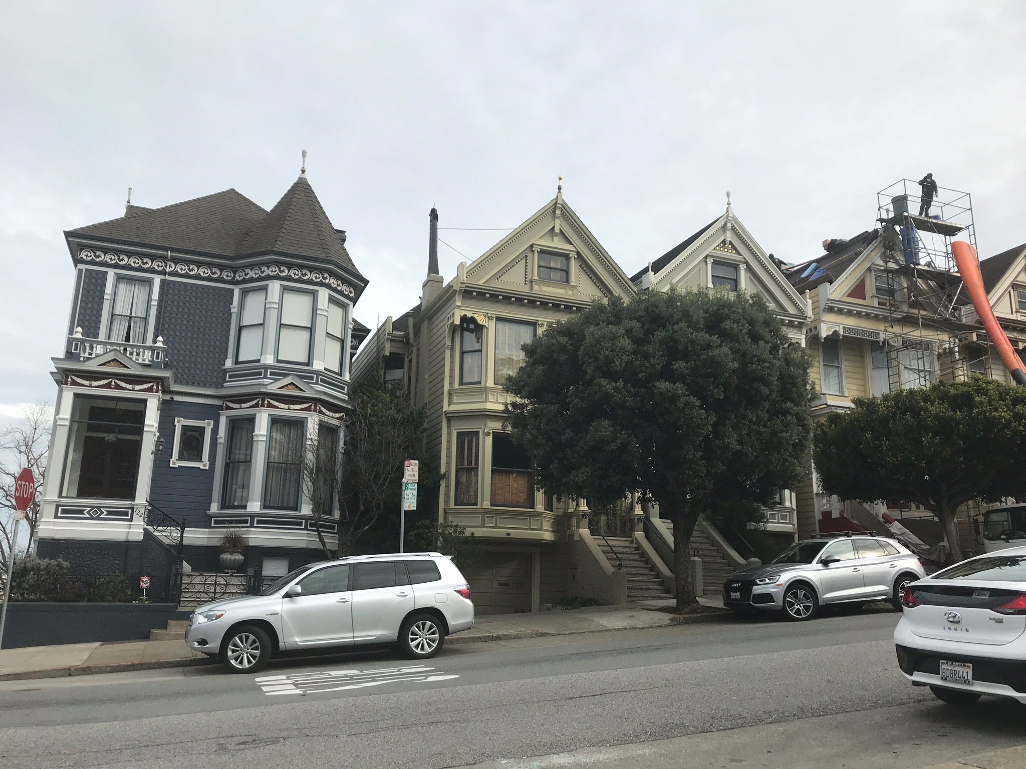 PAINTED LADIES All You MUST Know Before You Go 2025 Photo1jpg