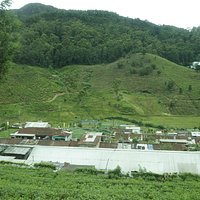 Maisons des employés
