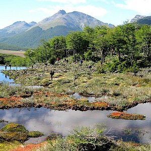 Tripadvisor, Parque Nacional da Terra do Fogo: experiência oferecida por  All Patagonia