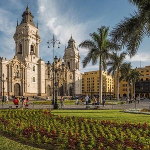 Swimming with Sea Lions in Lima provided by America Viajes | Peru