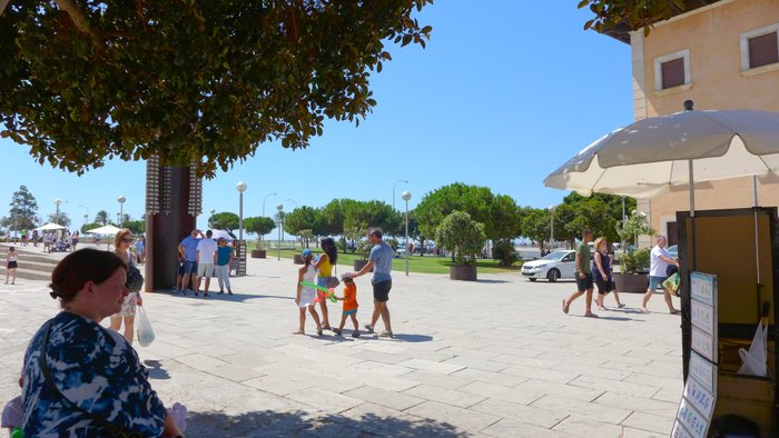 Imagen 9 de Plaça De La Seu