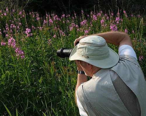 best photography tours alaska