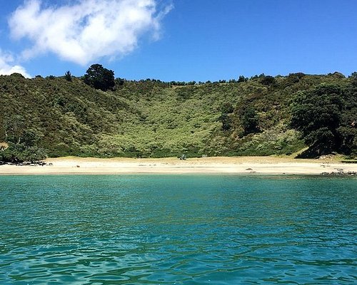 waiheke island day trip