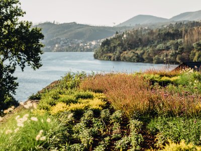 Castelo De Paiva Portugal Tourismus In Castelo De Paiva Tripadvisor