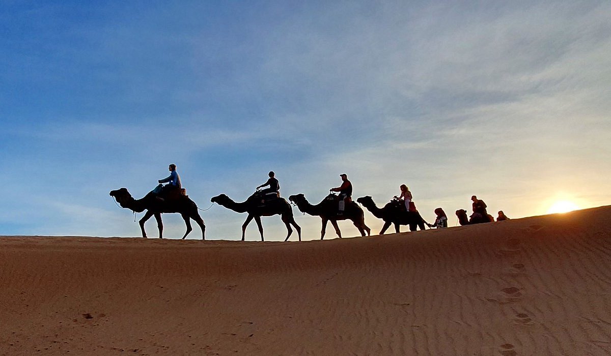 sahara camel trips review