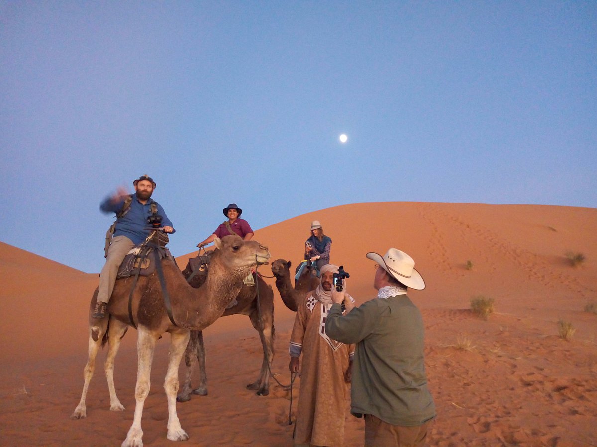 sahara camel trips review