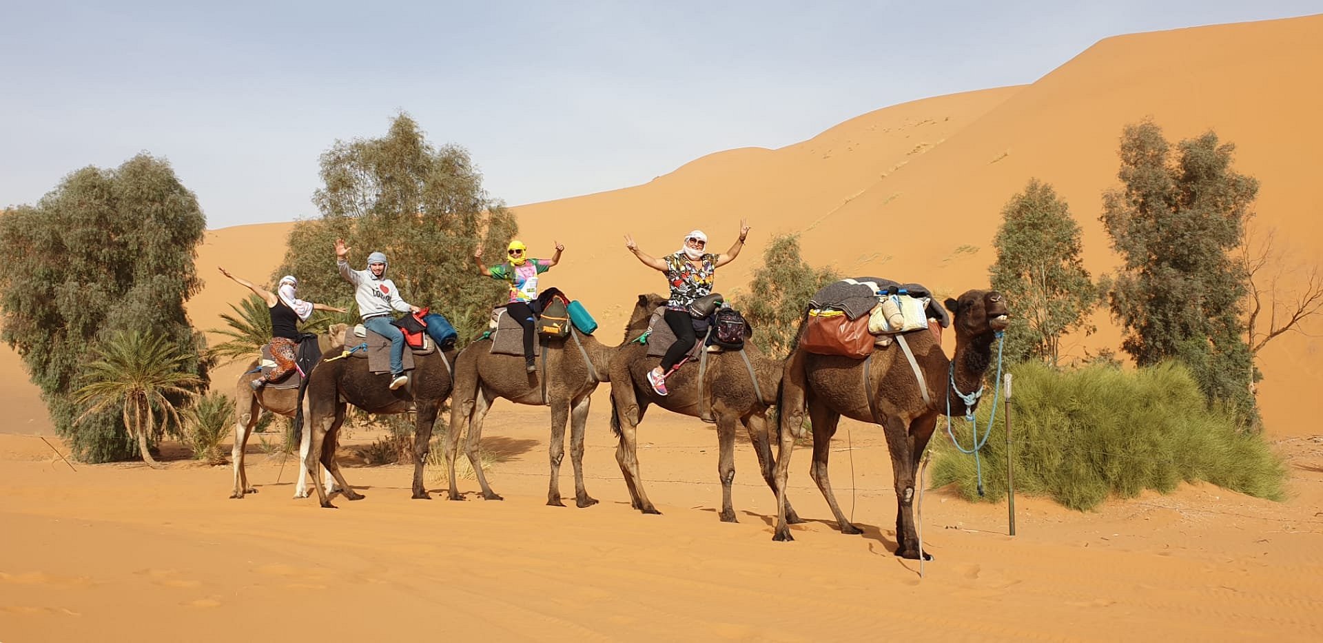 sahara camel trips review