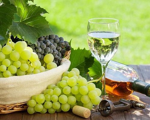 georgia wine tourism