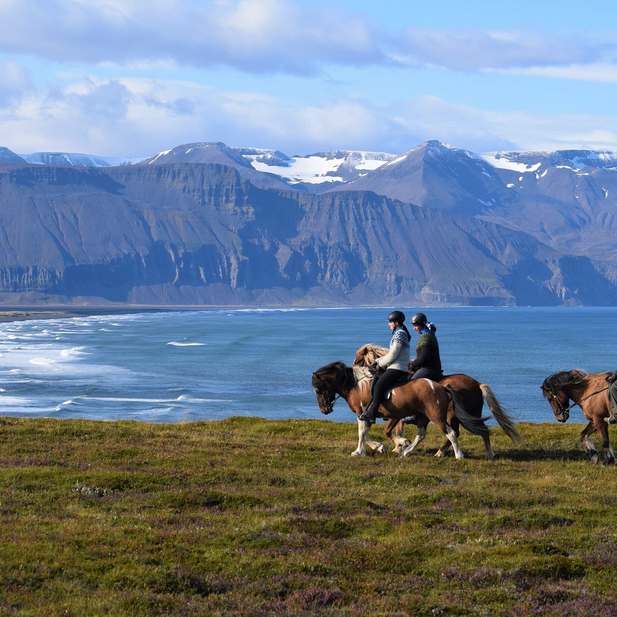 North travel. Хусавик город в Исландии. Хусавик город в Исландии фото. Энергоустановка в Исландия Хусавик. Haraldsby, Saltvik.