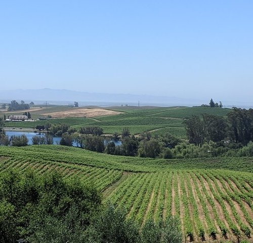 2024 (Sonoma) Wine Blending Experience in Sonoma County