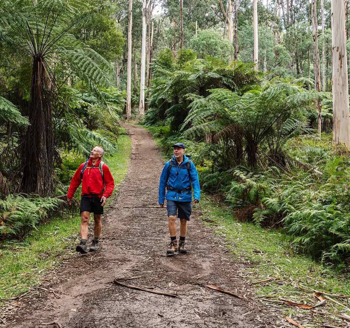 Dandenong Park | ASPECT Studios📈 Garanta seus chutes na Loto Fácil hoje!