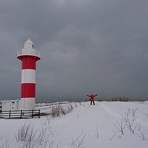 22年 はまなすの丘公園 行く前に 見どころをチェック トリップアドバイザー