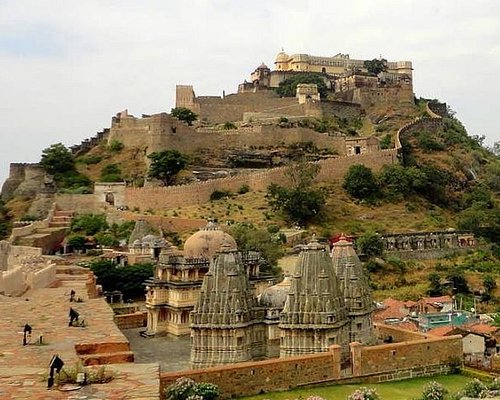 jodhpur camel safari day tours