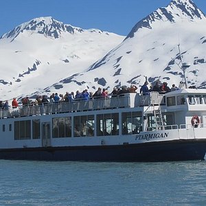 portage glacier scenic cruise & drive with airport transfer