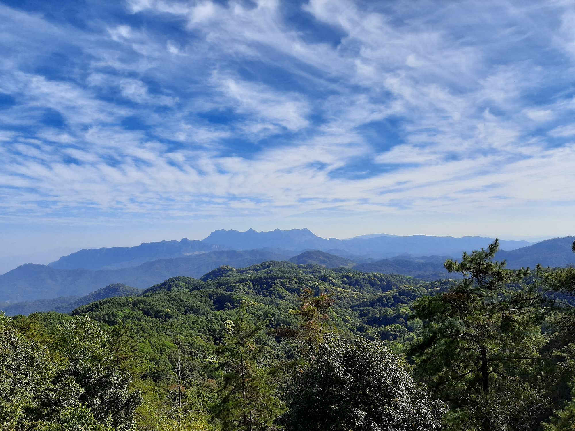 daro tours chiang mai