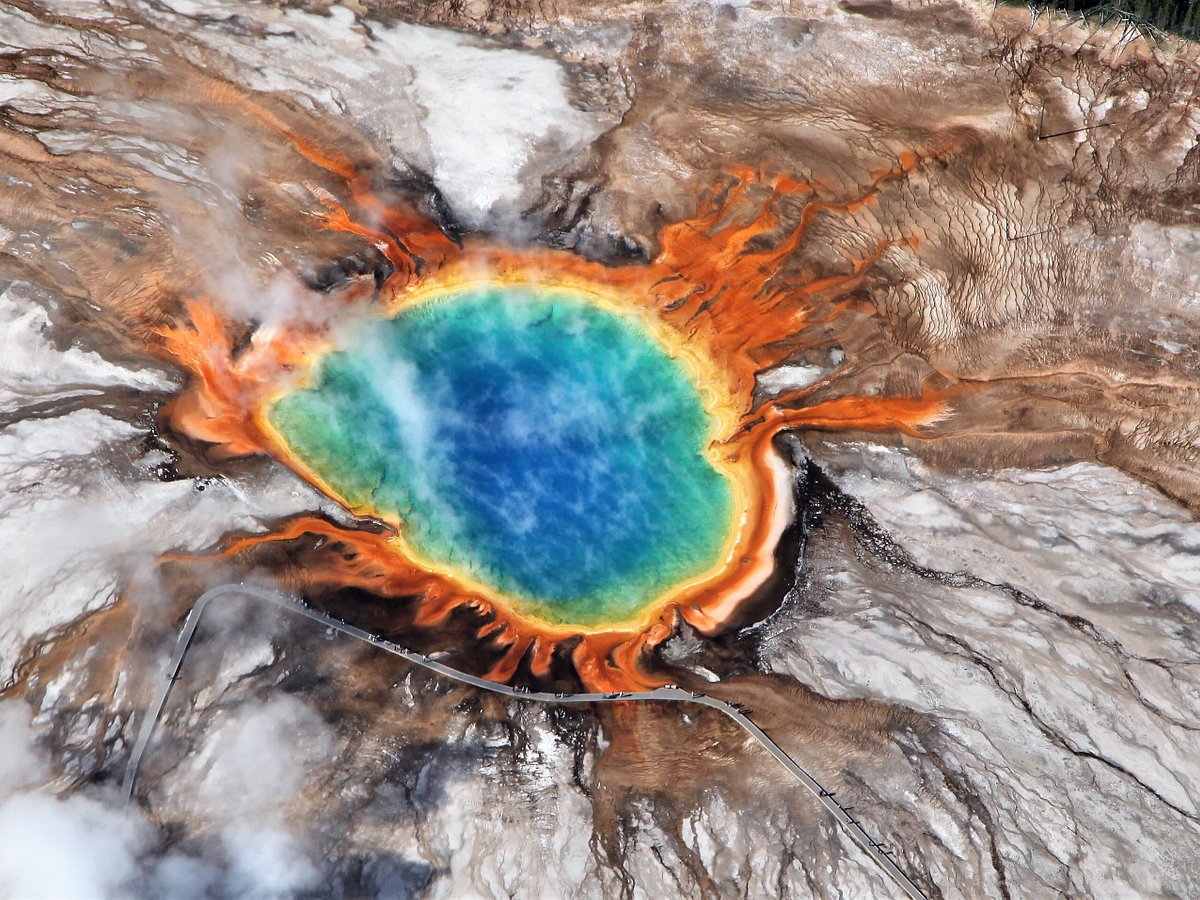 Yellowstone Wildlife and Photo Tours (Cody) - All You Need to Know ...