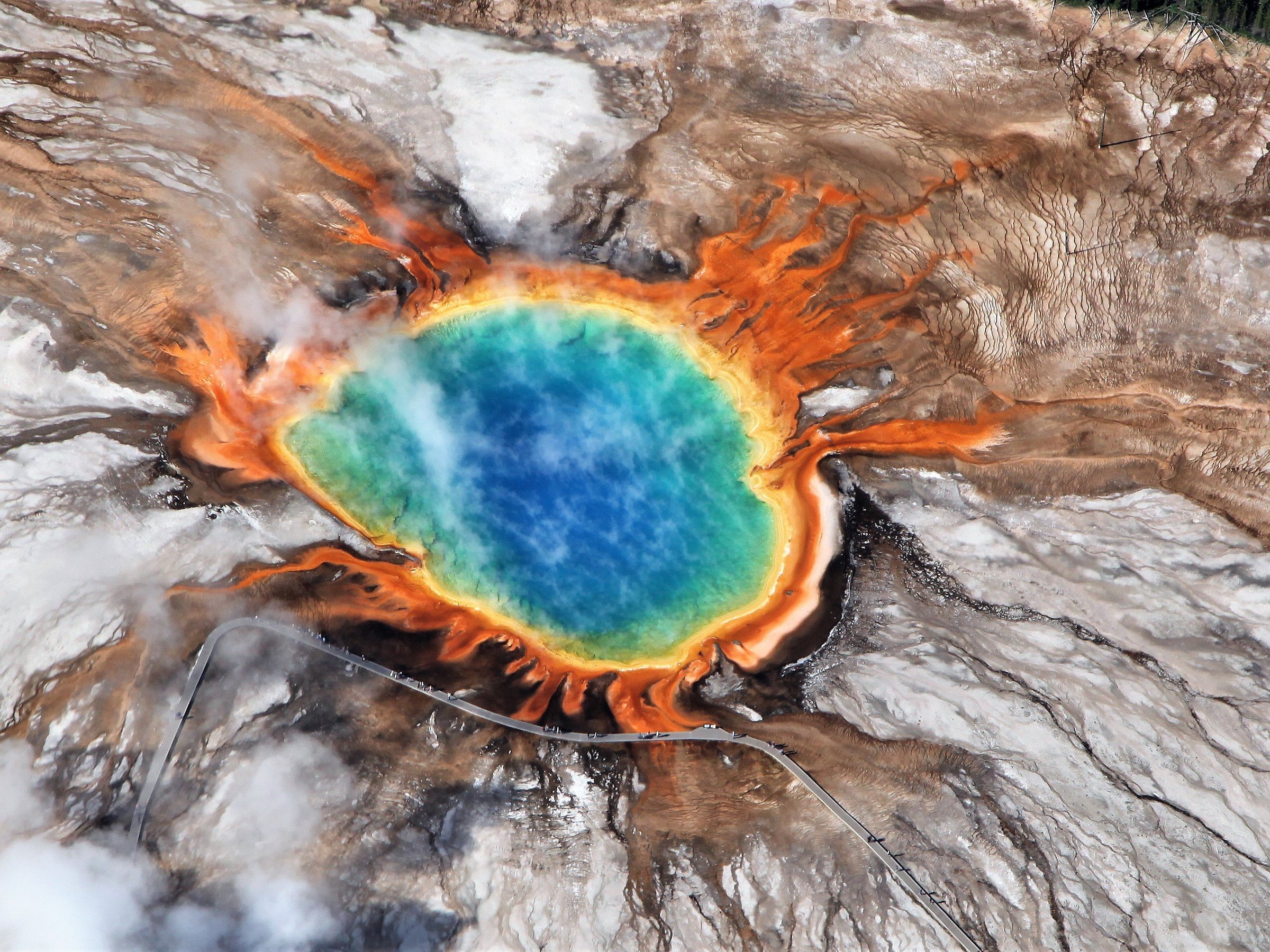 Yellowstone Wildlife and Photo Tours (Cody) - All You Need to Know ...
