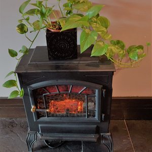 Recepción