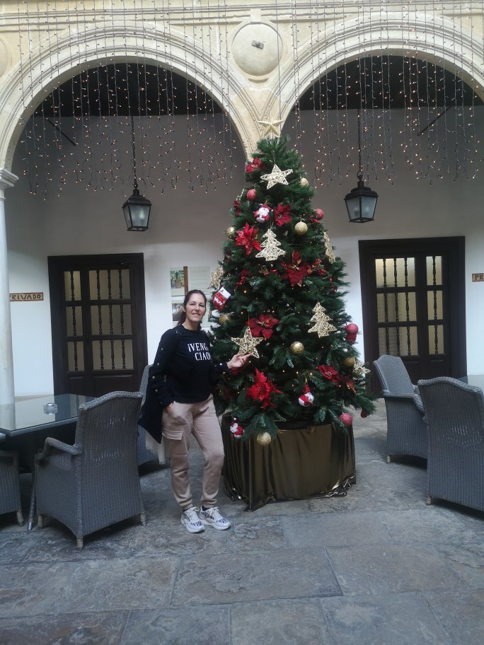 Hotel photo 8 of Hotel Alvaro de Torres.