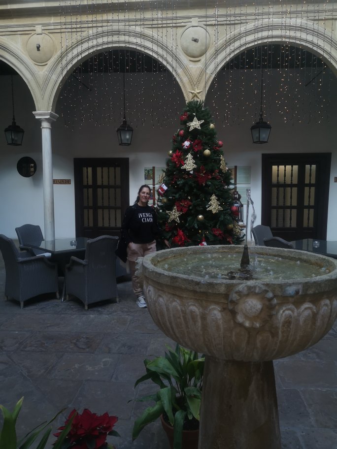 Hotel photo 18 of Hotel Alvaro de Torres.