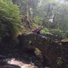 maryloud97