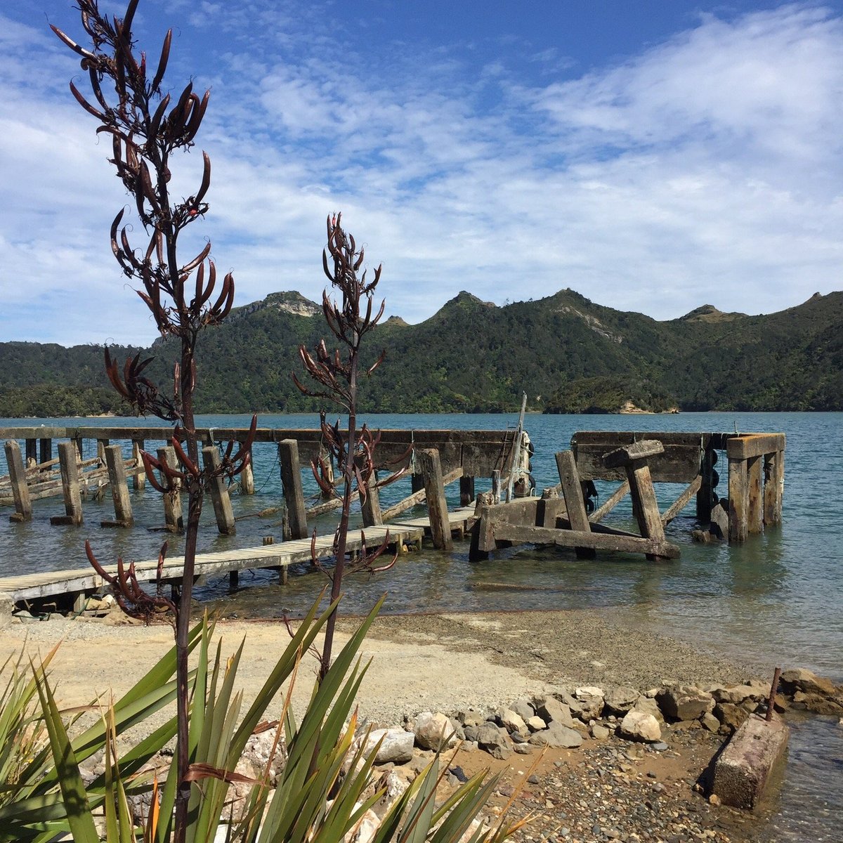 WHANGANUI INLET (Collingwood): All You Need to Know