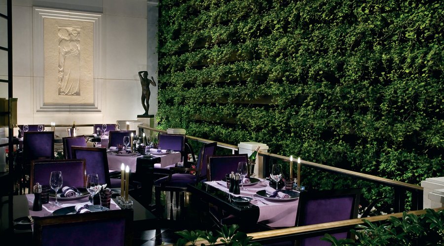 Joël Robuchon image 2 - Full view
