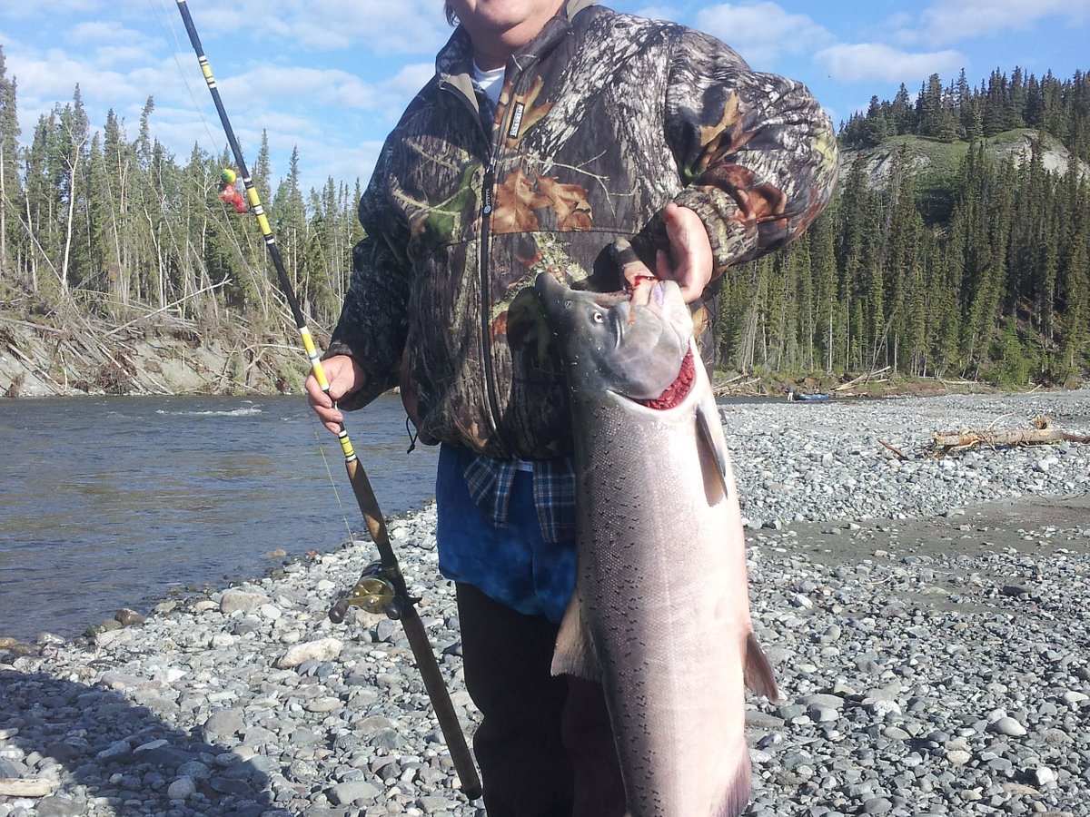 King (Chinook) Salmon Fishing - Salmon Grove Campground & Fishing Charters