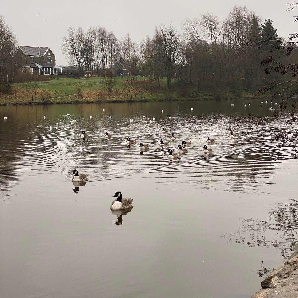 ORRELL WATER PARK - All You Need to Know BEFORE You Go