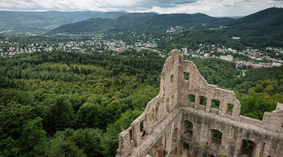 Blick über die Ruine und das Tal