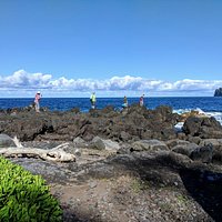 Laupahoehoe Beach Park - All You Need to Know BEFORE You Go