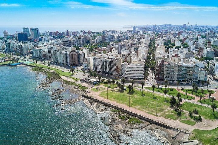 2023 Montevideo Half Day City Tour   Caption 