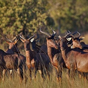 places to visit in zambia lusaka