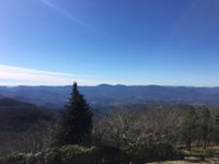 se permiten perros en brasstown bald mountain