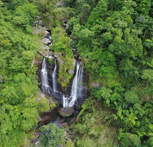 THE BEST Things to Do in Tailevu Province - 2023 (with Photos)