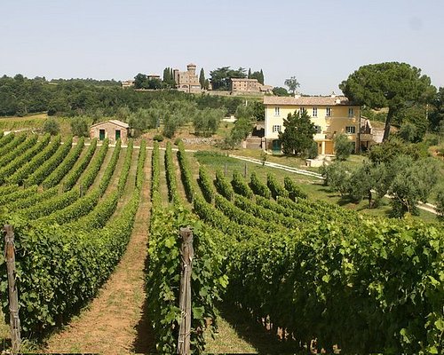 wine tours in umbria