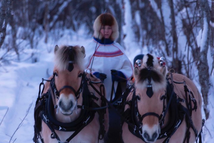 2024 Sleigh Ride w/ Tapas Meal - Experience Arctic Farm Life