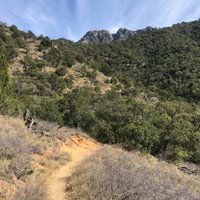 Madera Canyon (Tucson) - All You Need to Know BEFORE You Go