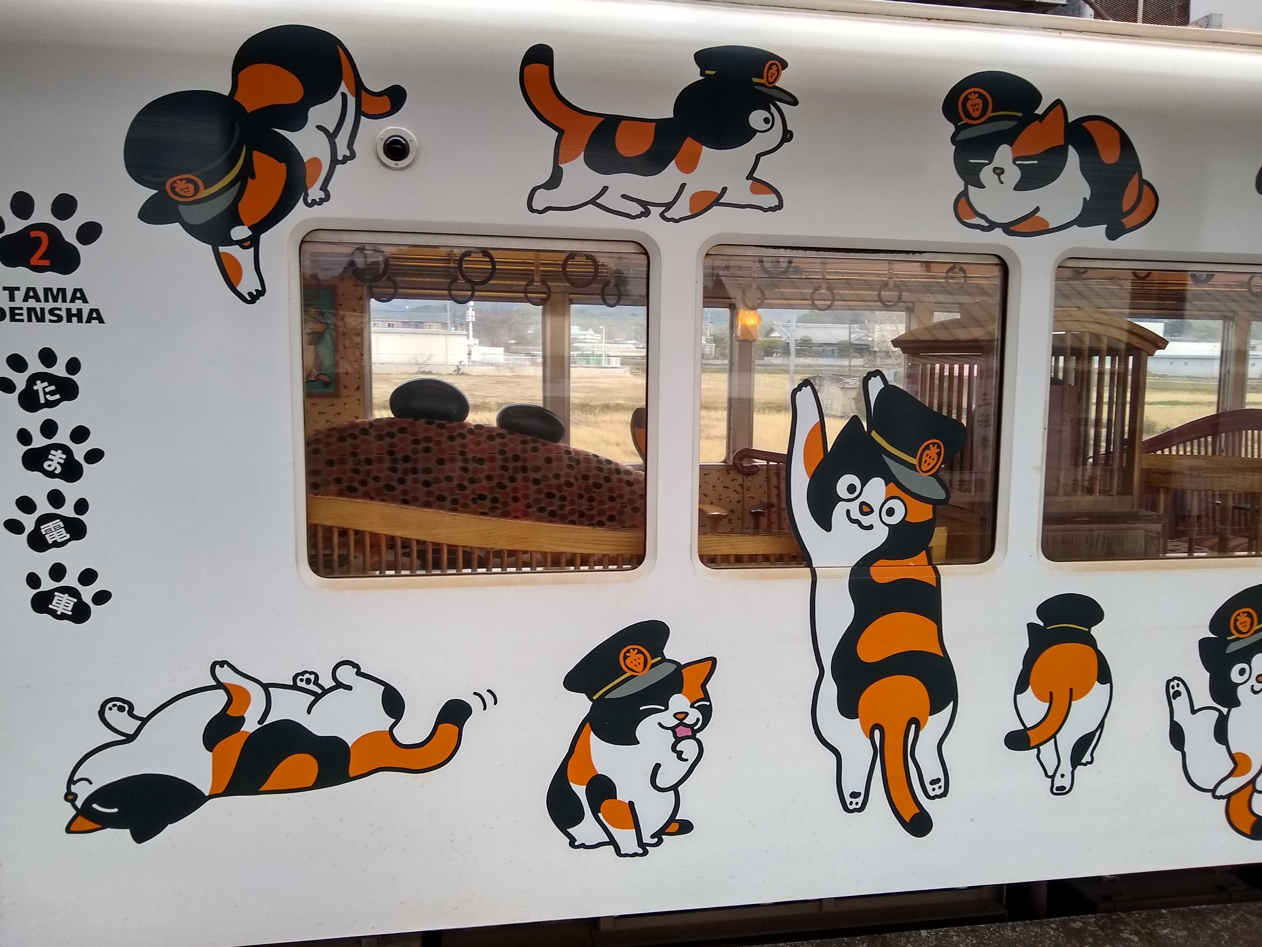Tama Museum Kishi Station (2025) - All You Need to Know Tama Museum Kishi Station (2025) - All You Need to Know