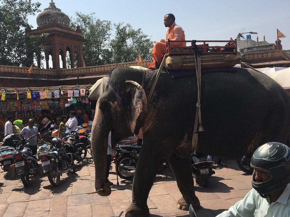 Unforgettable Holidays in India - All You Need to Know BEFORE You Go (2024)