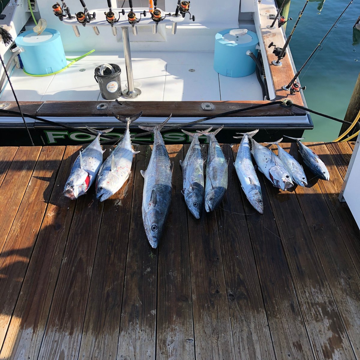 Ocean City Fishing Center - Day Charters - All You Need to Know BEFORE