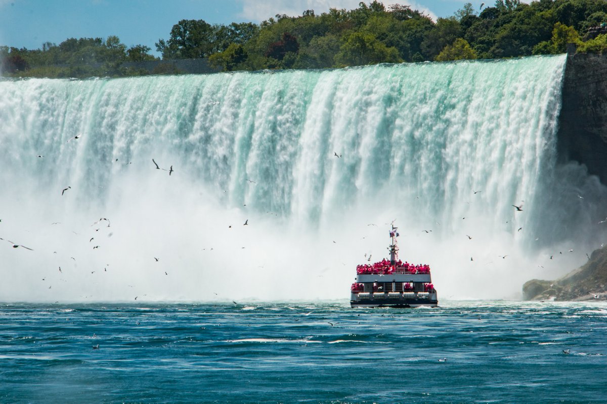 Niagara Falls Sightseeing Tours - 나이아가라 폭포 - Niagara Falls Sightseeing  Tours의 리뷰 - 트립어드바이저