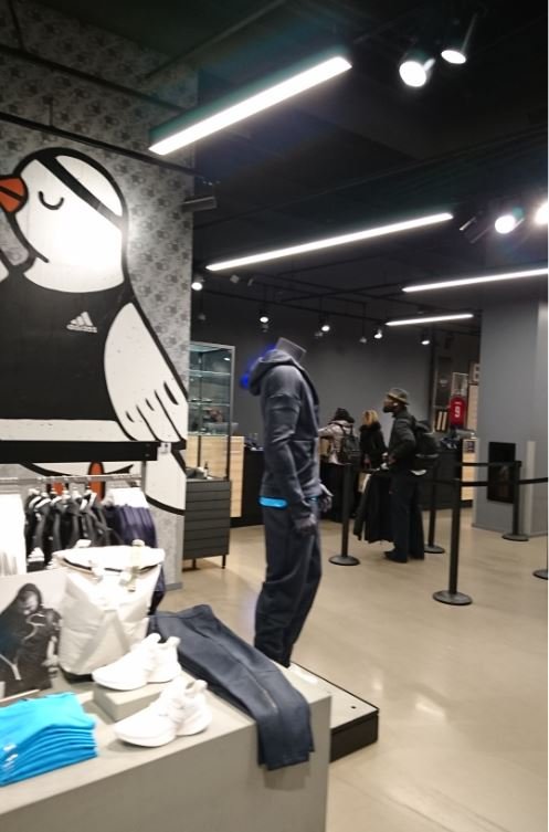 Adidas store shop medellín premium