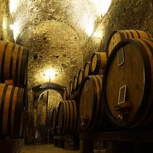 poliziano winery tour
