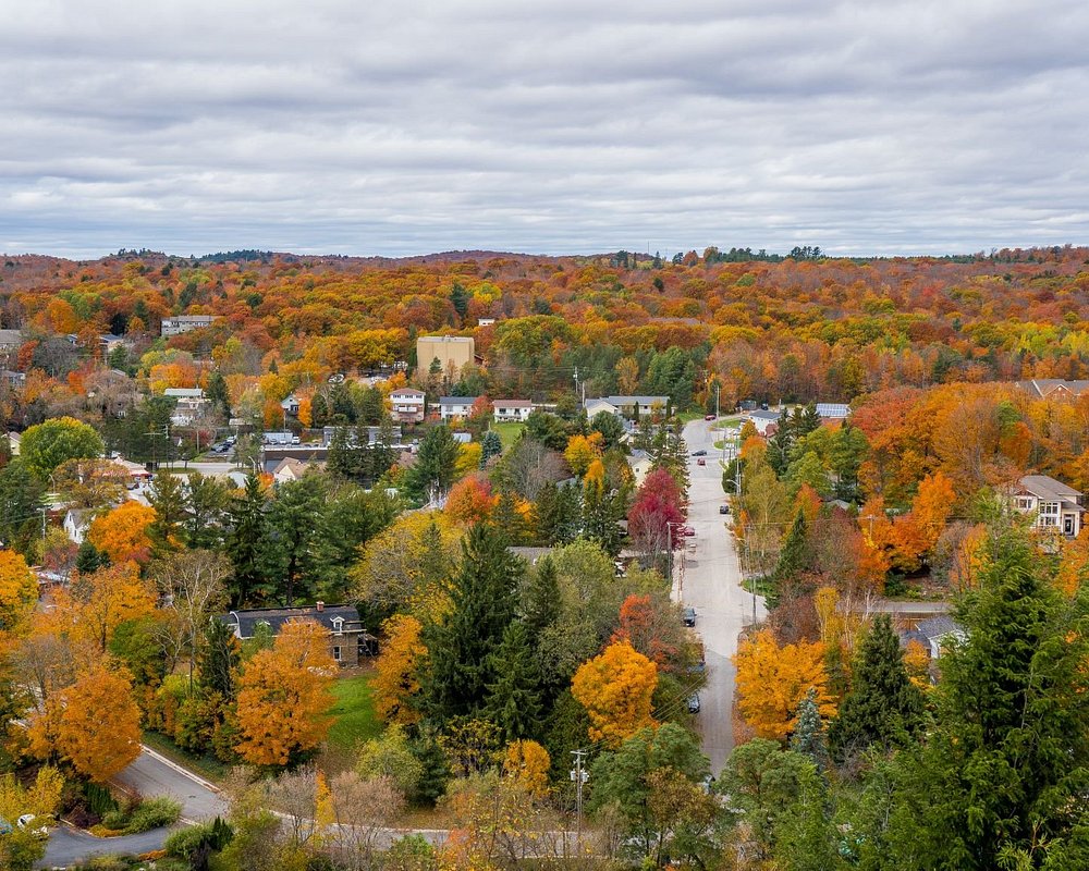 tours les jours huntsville