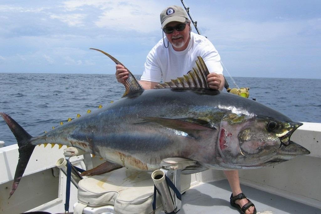 Santa Catalina Fishing Trip (Panama): Hours, Address - Tripadvisor