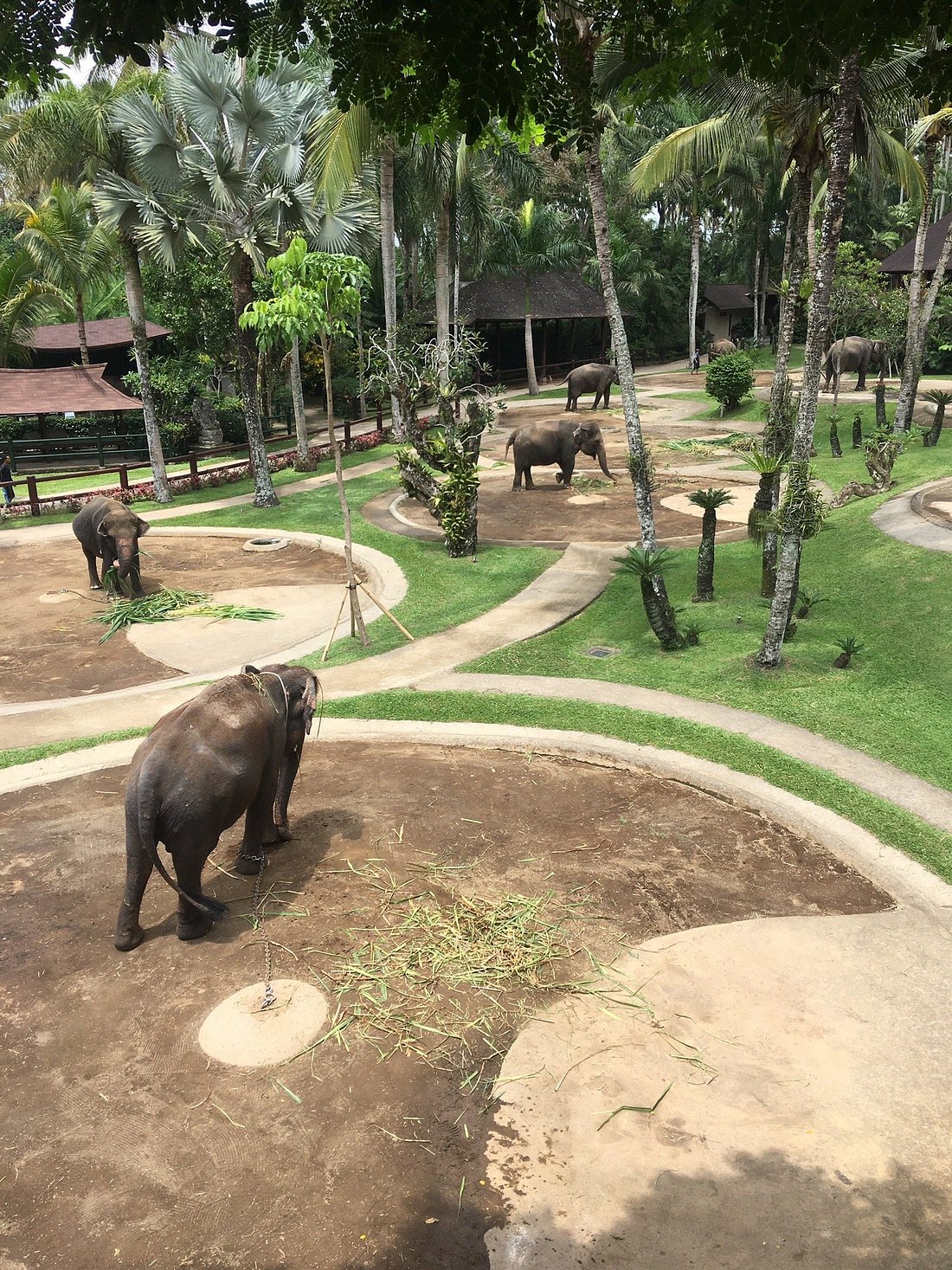 MASON ELEPHANT PARK & LODGE (Taro) - отзывы, фото и сравнение цен -  Tripadvisor