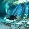 Bettotulum