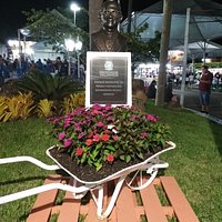 Festa do Figo
