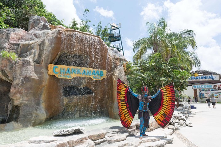 Tripadvisor | Paquete Ulyimate con todo incluido para el parque Chankanaab  de Cozumel ofrecido por Cucurumbe Tours | México